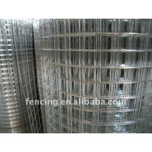 Electric Galvanized Welded Wire Mesh MANUFACTURER